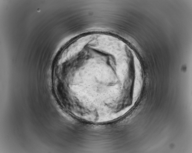 X0000100971030200807221204