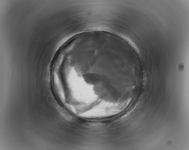 X0000100971031200807221204