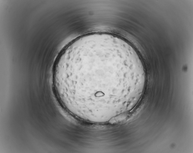 X0000100971034200807221204