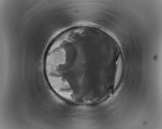 X0000100971037200807221204