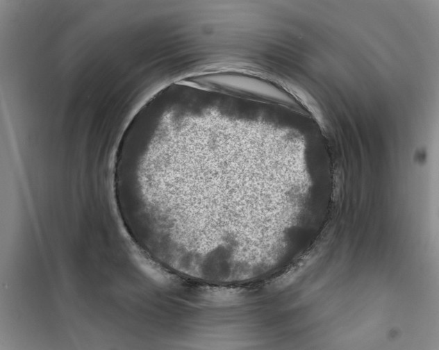 X0000100971039200807221204