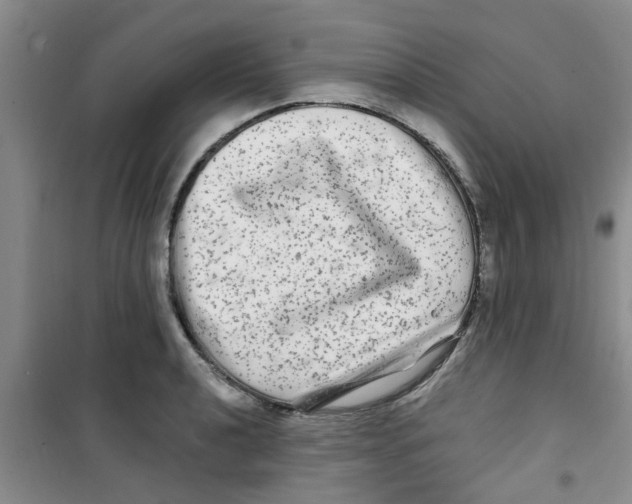 X0000100971040200807221204