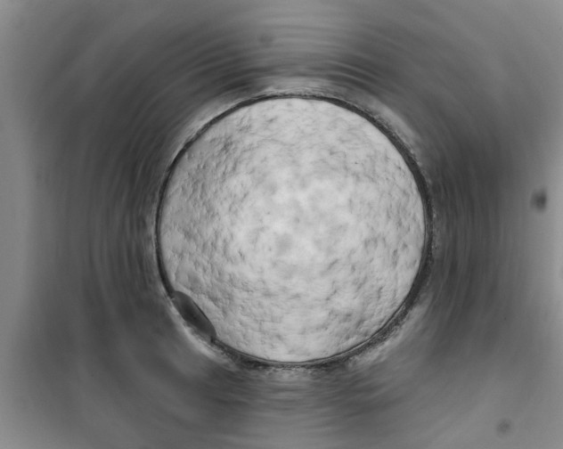 X0000100971041200807221204
