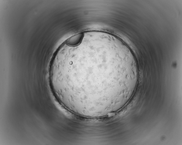 X0000100971042200807221204