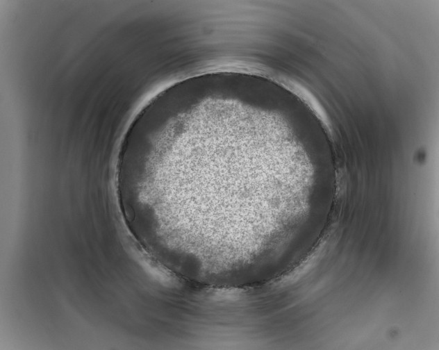 X0000100971043200807221205
