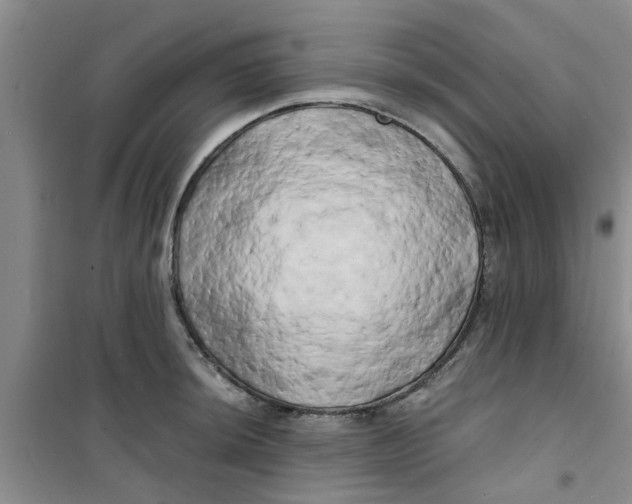 X0000100971044200807221205
