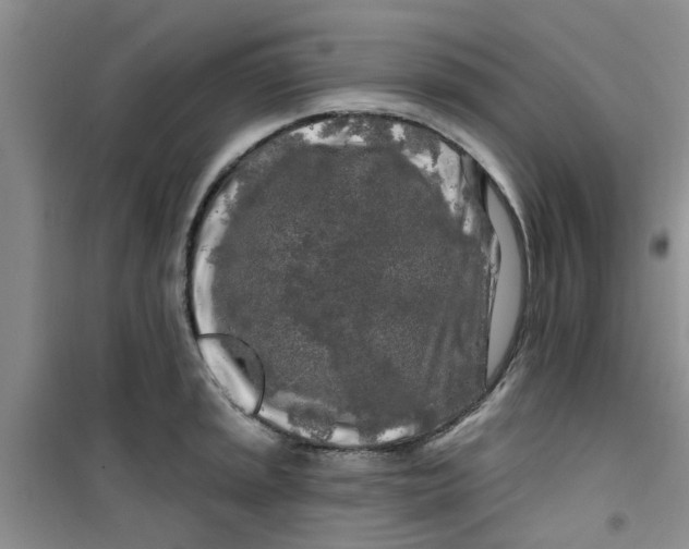 X0000100971045200807221205