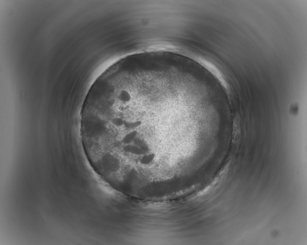 X0000100971047200807221205