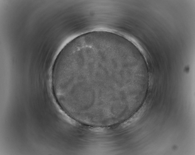 X0000100971048200807221205