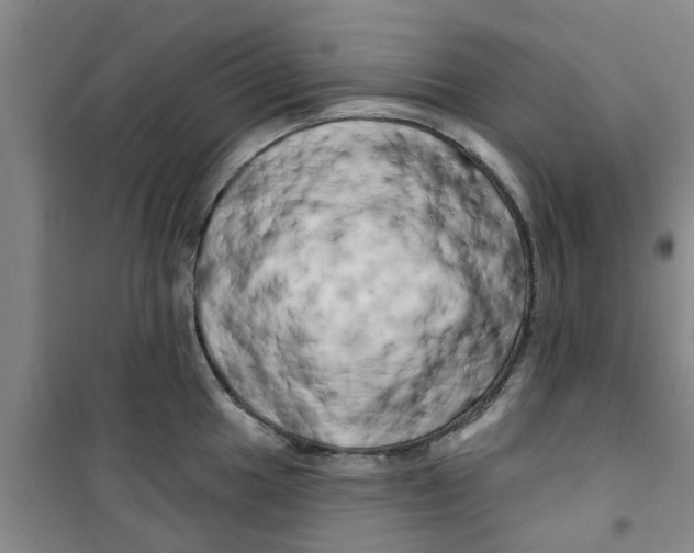 X0000100971049200807221205