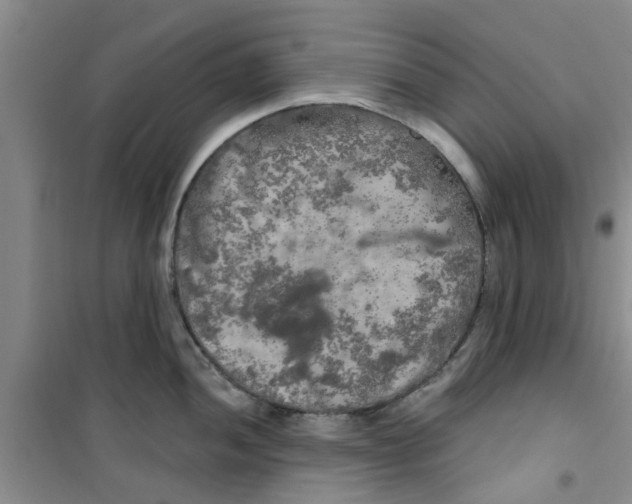 X0000100971052200807221205