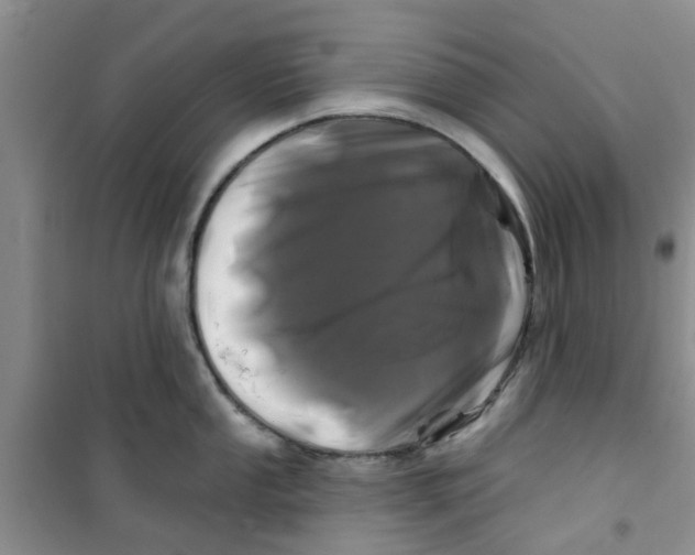 X0000100971053200807221205