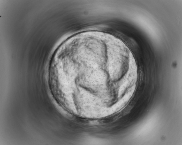 X0000100971054200807221205