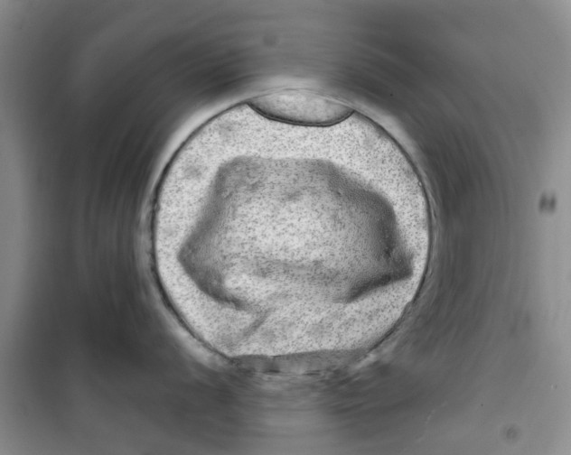X0000100971056200807221205