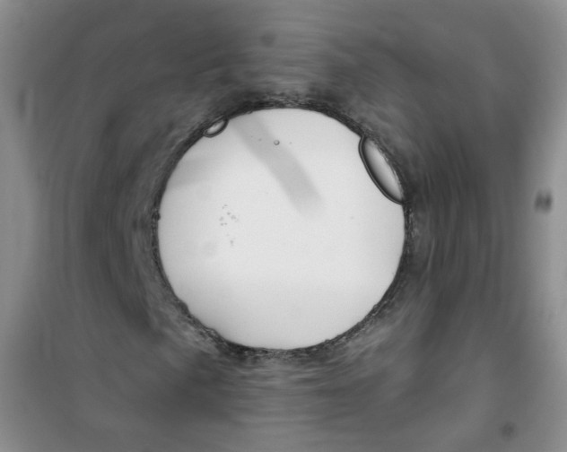 X0000100971057200807221204