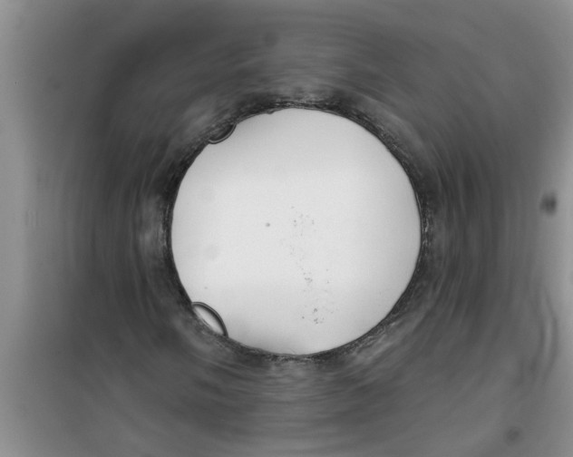 X0000100971058200807221204