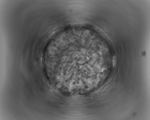X0000100971059200807221204