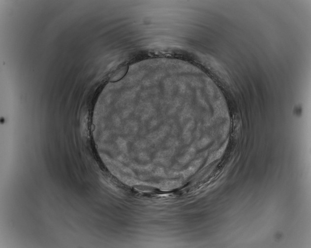 X0000100971060200807221204
