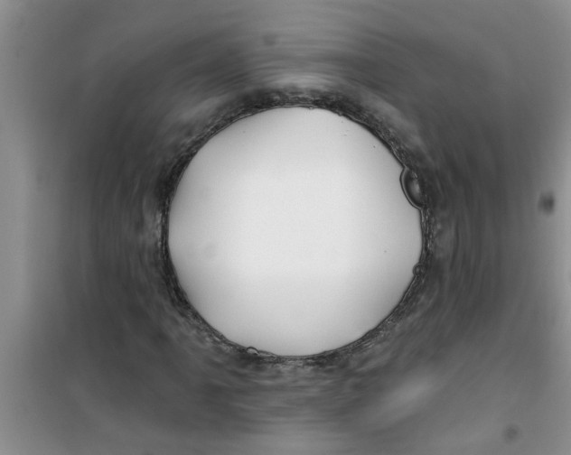 X0000100971061200807221204