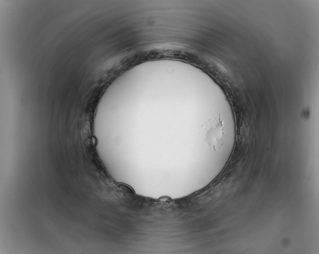 X0000100971062200807221204
