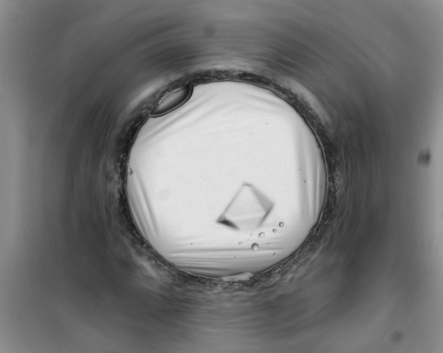 X0000100971064200807221204