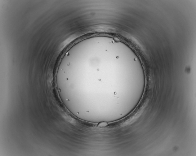 X0000100971065200807221204