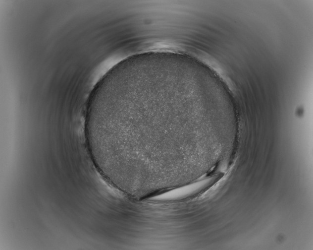 X0000100971066200807221204