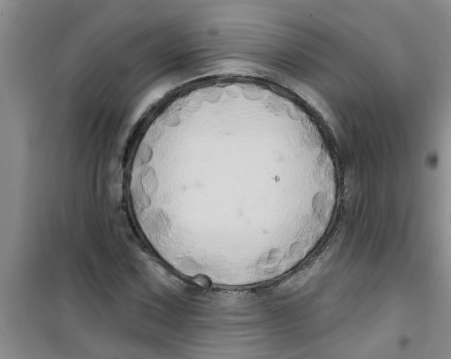 X0000100971067200807221204