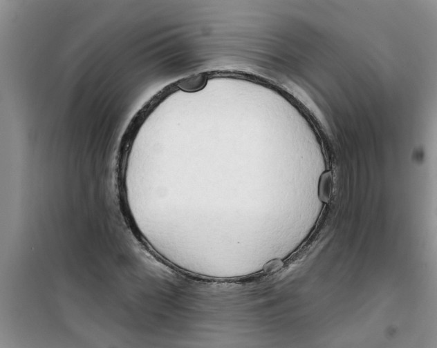X0000100971068200807221204