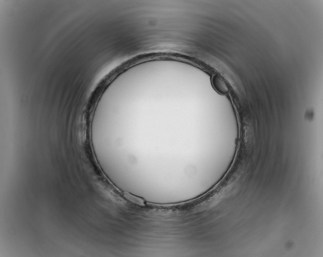 X0000100971069200807221204