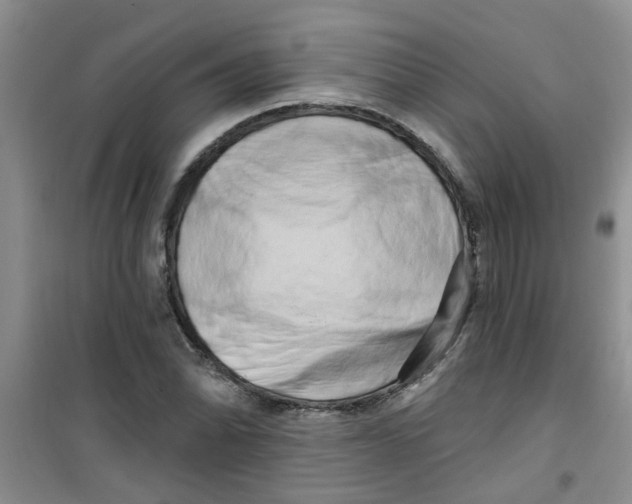 X0000100971070200807221204