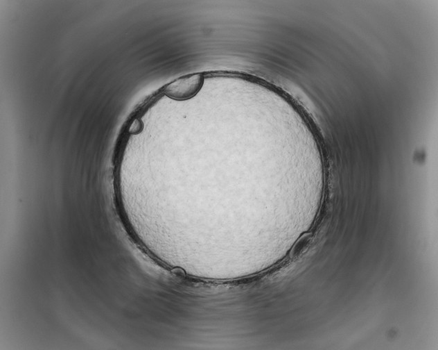 X0000100971072200807221204