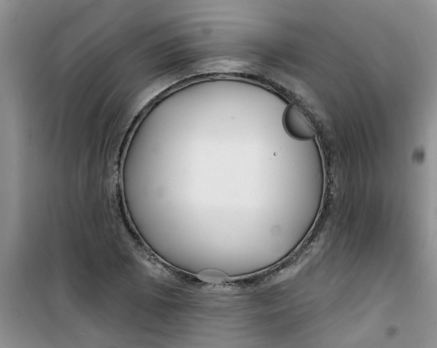 X0000100971073200807221204