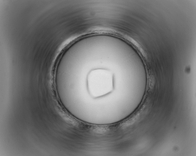 X0000100971074200807221204