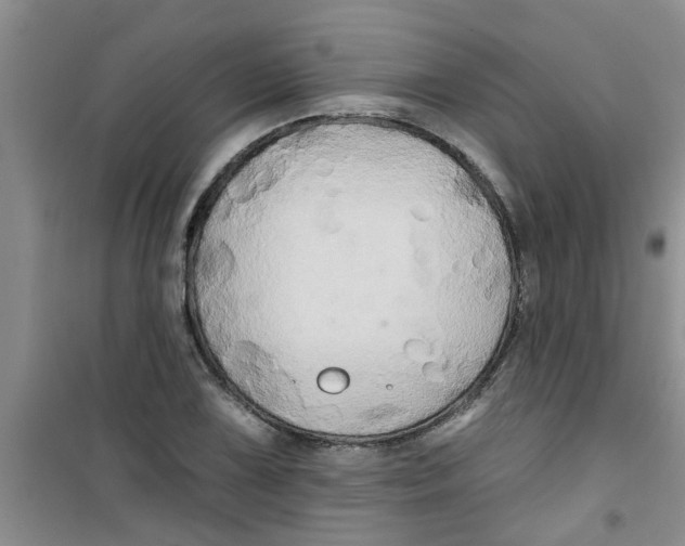 X0000100971075200807221204
