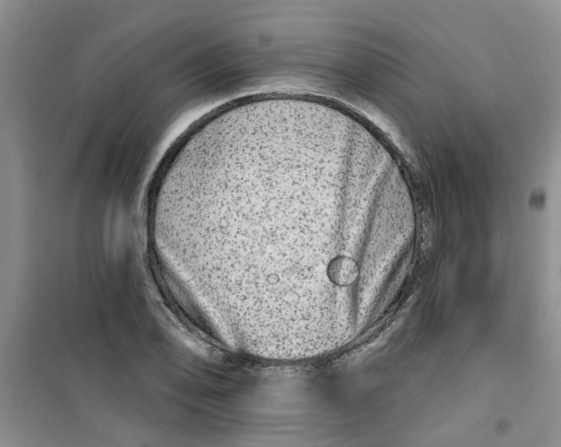 X0000100971078200807221204