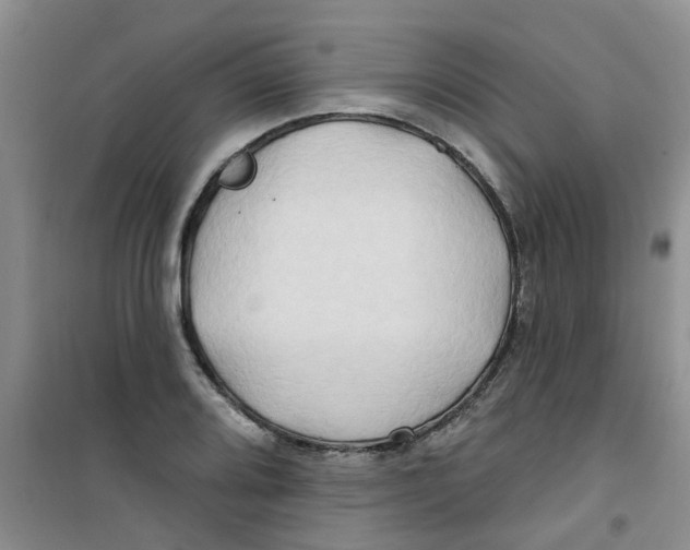 X0000100971080200807221204