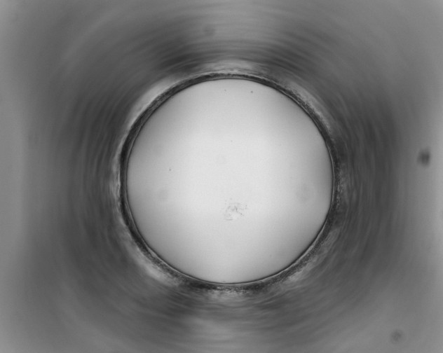 X0000100971082200807221204