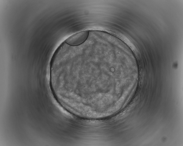 X0000100971084200807221204