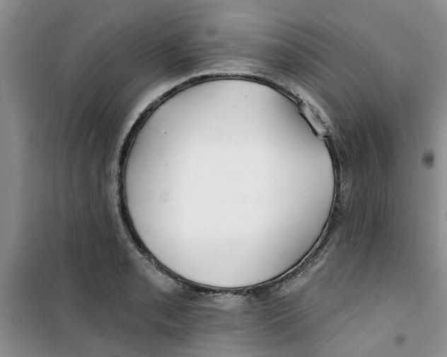 X0000100971085200807221204