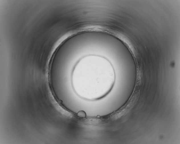 X0000100971090200807221204