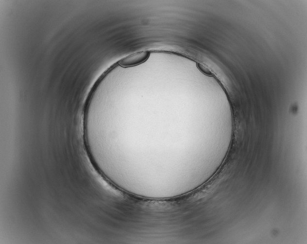 X0000100971092200807221204