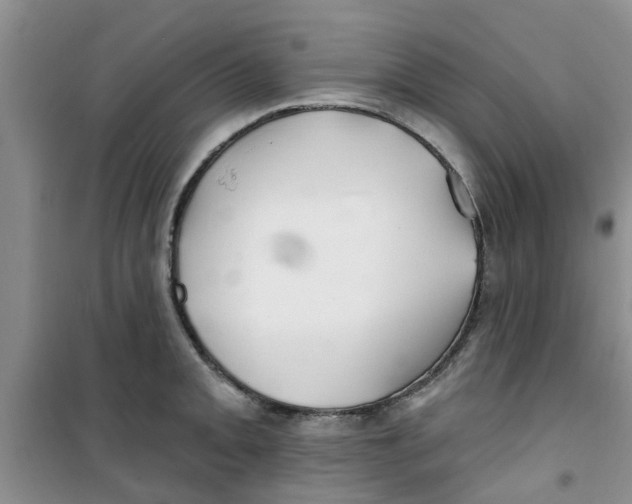 X0000100971093200807221203