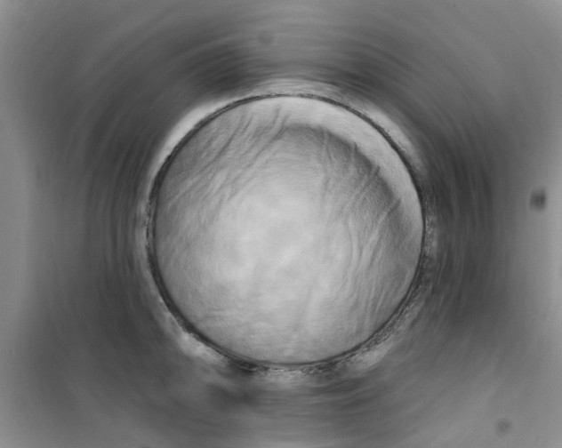 X0000100971094200807221203