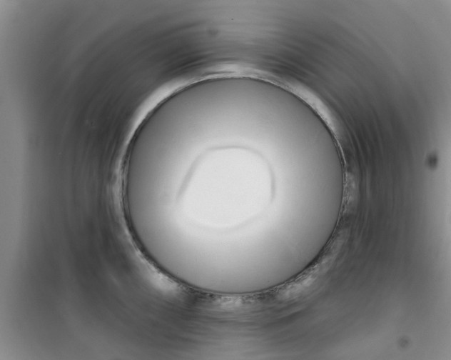 X0000100971098200807221203