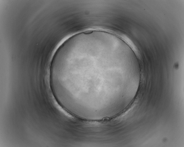 X0000100971100200807221203