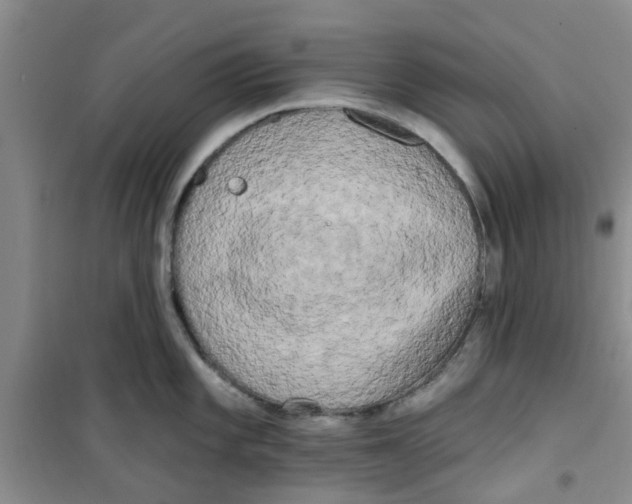 X0000100971101200807221203