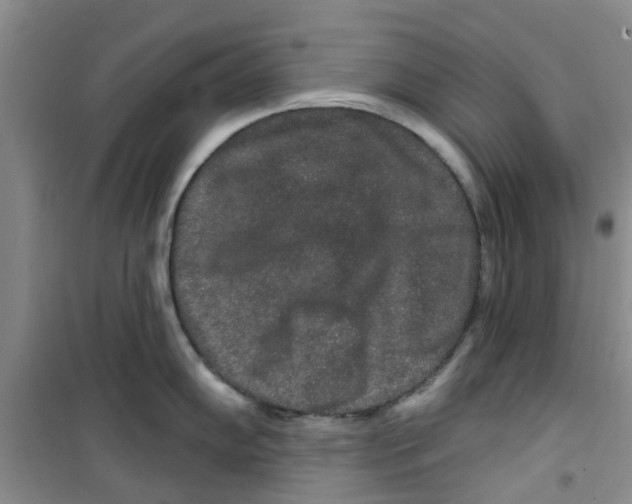 X0000100971102200807221203