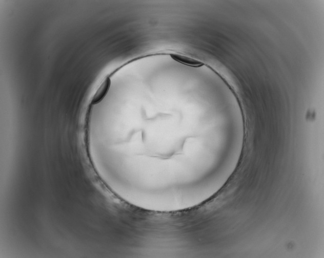 X0000100971104200807221203