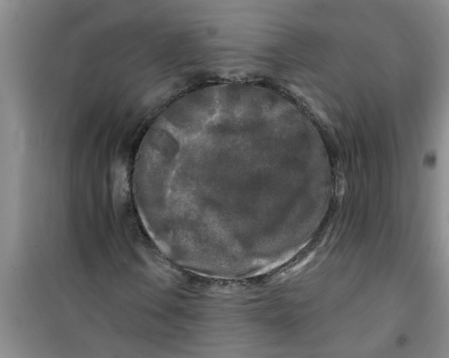 X0000100971106200807221203
